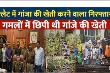 ग्रेटर नोएडा के पार्श्वनाथ सोसाइटी के फ्लैट्स गमले में विदेशी गांजे (OG) की खेती: डार्क वेब के जरिए कर रहा था सप्लाई, एक युवक गिरफ्तार