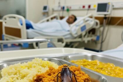 नोएडा फोर्टिस: मरीज के खाने में कॉकरोच मिलने से हड़कंप, प्रबंधन ने दिए जांच के आदेश