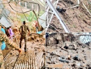  जम्मू: श्री माता वैष्णो देवी मार्ग पर भीषण भूस्खलन, 30 श्रद्धालुओं की मौत, राहत एवं बचाव कार्य जारी