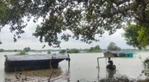  नोएडा: यमुना के डूब क्षेत्र में बाढ़ का कहर, प्रशासन ने रेस्क्यू कर 200 परिवारों को सुरक्षित पहुंचाया