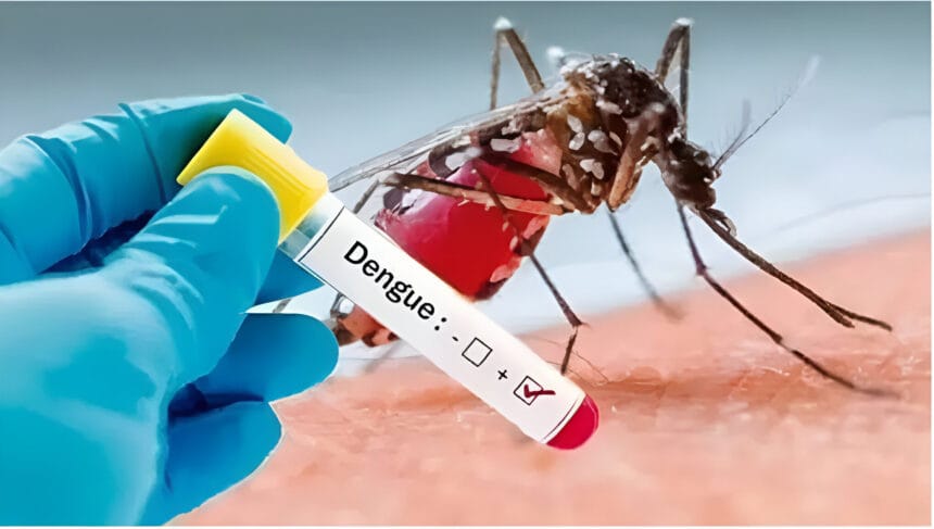 गौतम बुद्ध नगर में डेंगू का कहर जारी, 13 नए मामले सामने आए, कुल संख्या 284 पहुँची