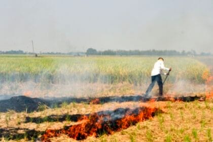 पराली जलाई तो लगेगा 15,000 तक का जुर्माना, गौतमबुद्ध नगर प्रशासन ने किसानों को दी चेतावनी