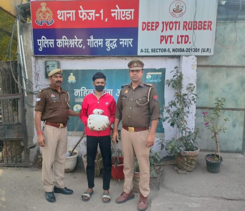 नोएडा पुलिस की बड़ी कार्रवाई: अवैध गांजे के साथ तस्कर गिरफ्तार, 1.2 किलो गांजा बरामद