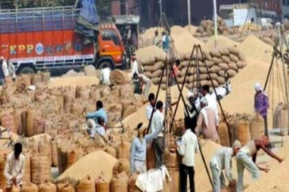 दनकौर: धान की तुलाई में देरी पर भड़के किसान, मंडी इंस्पेक्टर को घंटों बनाया बंधक; अधिकारियों के आश्वासन पर माने