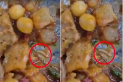 Greater Noida News: लाखों की फीस, फिर भी खाने में कीड़े! बेनेट यूनिवर्सिटी के छात्रों का 'घटिया मेस' पर बड़ा विरोध