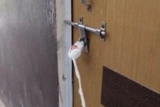 नोएडा: 5 अल्ट्रासाउंड सेंटर सील, सेक्टर 37 में लिंग परीक्षण का खुलासा।