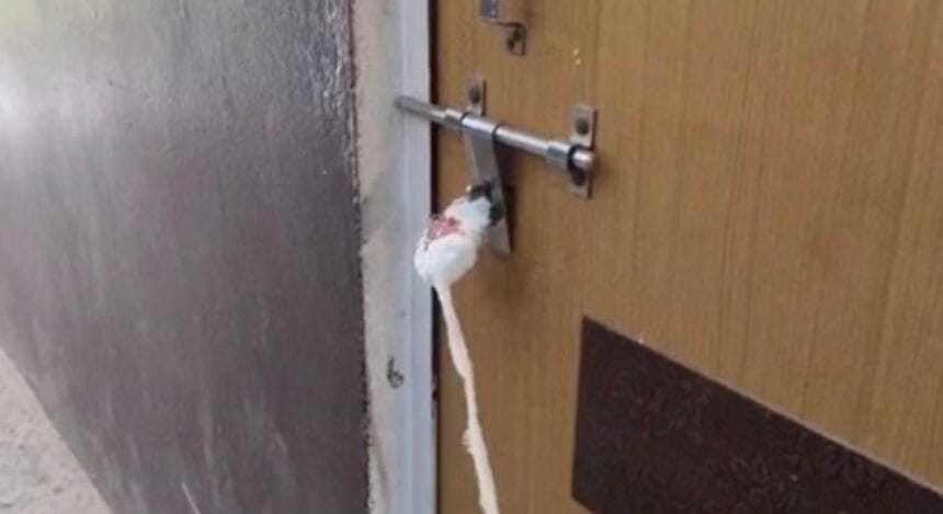 नोएडा: 5 अल्ट्रासाउंड सेंटर सील, सेक्टर 37 में लिंग परीक्षण का खुलासा।